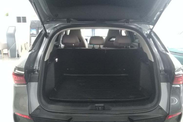 BYD Yuan Plus 2023 car image #19