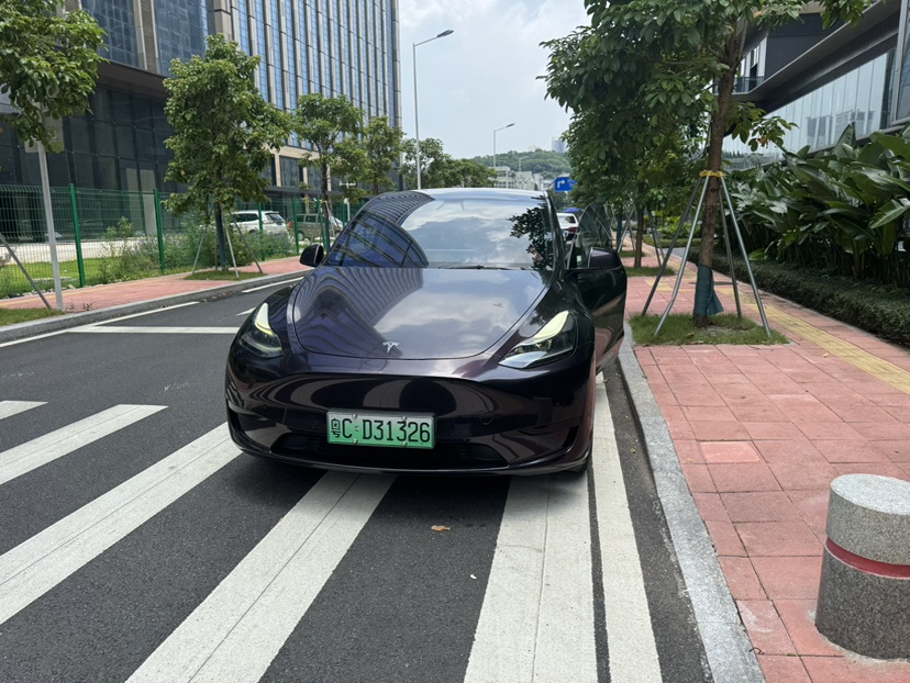 Tesla Model Y 2022 Tesla Model Y 2022 car image