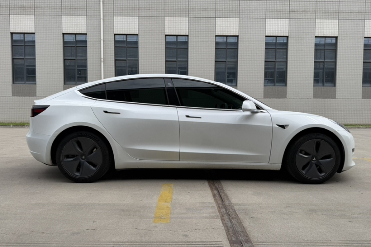 Tesla Model 3 2020 car image #6