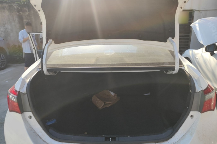 Toyota Corolla 2019 car image #19