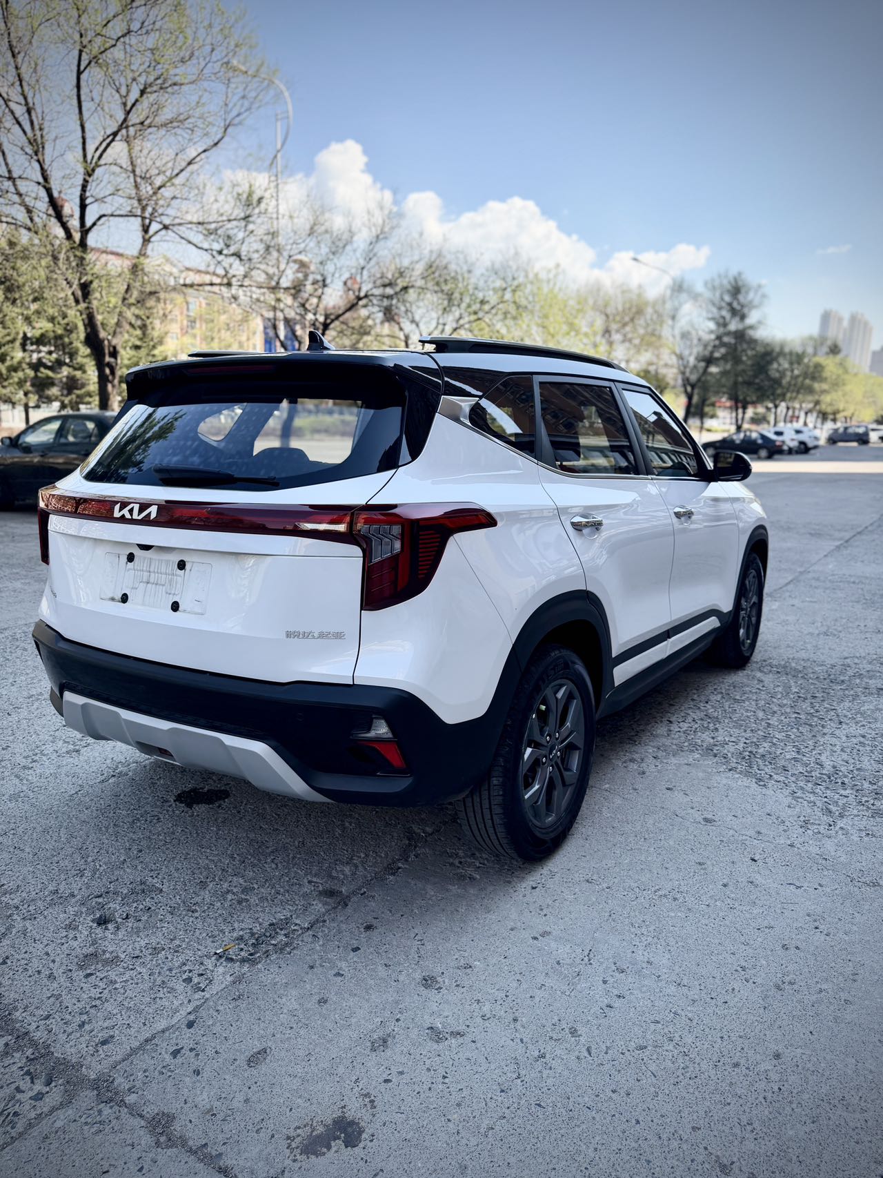 Kia Seltos 2023 image de voiture #6