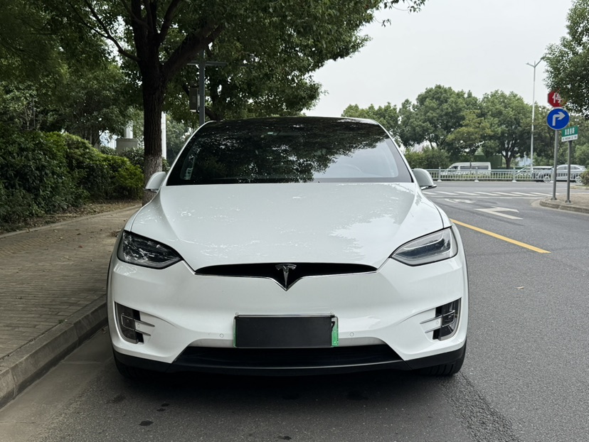 Tesla Model X 2017 car image #2