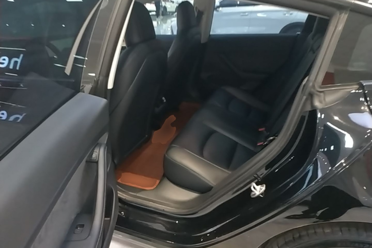 Tesla Model 3 2022 #17 Tesla Model 3 2022 car image #17