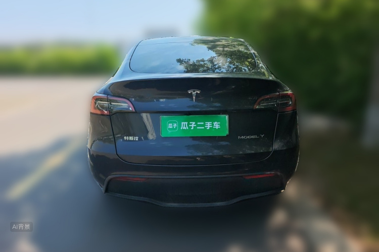 Tesla Model Y 2024 car image #6
