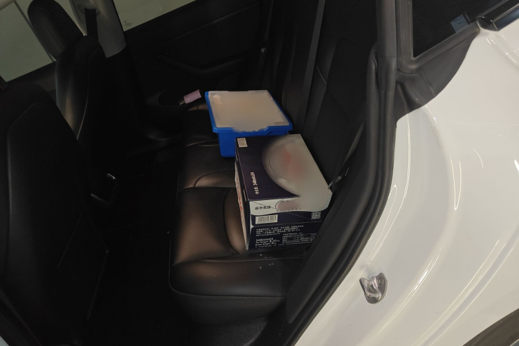 Tesla Model 3 2023 car image #14