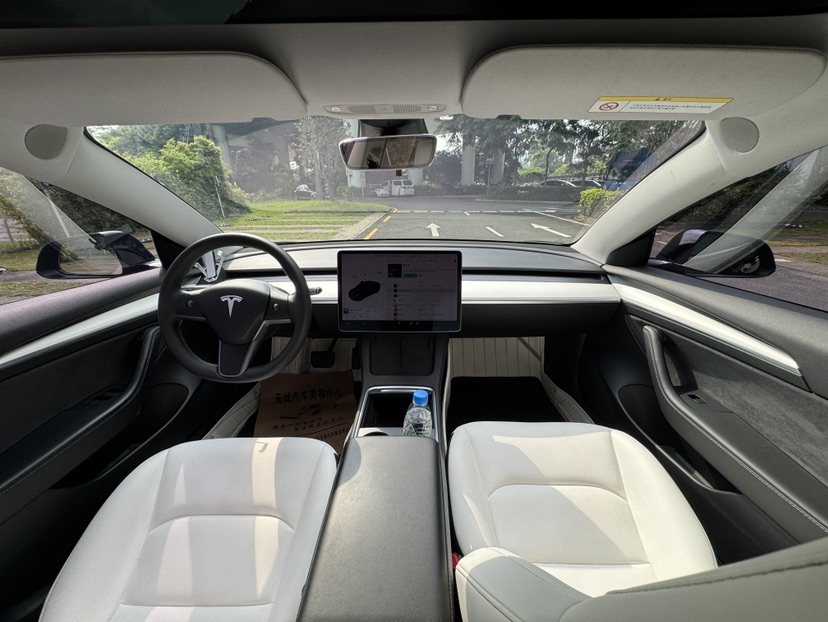 Tesla Model 3 2021 car image #6