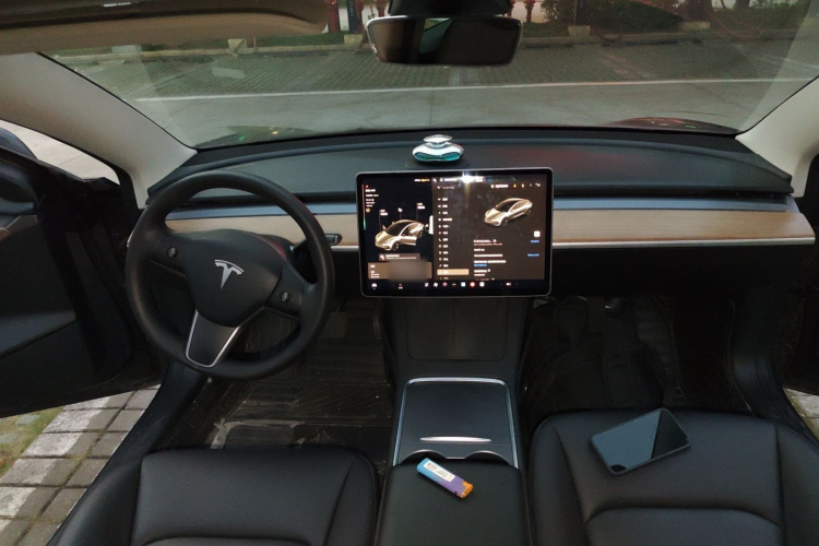 Tesla Model 3 2021 #14 Tesla Model 3 2021 immagine di auto #14