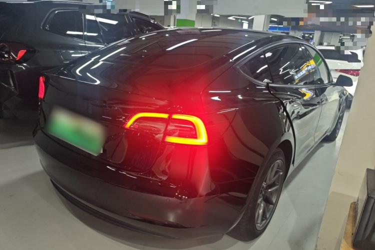 Tesla Model 3 2022 #7 Tesla Model 3 2022 car image #7