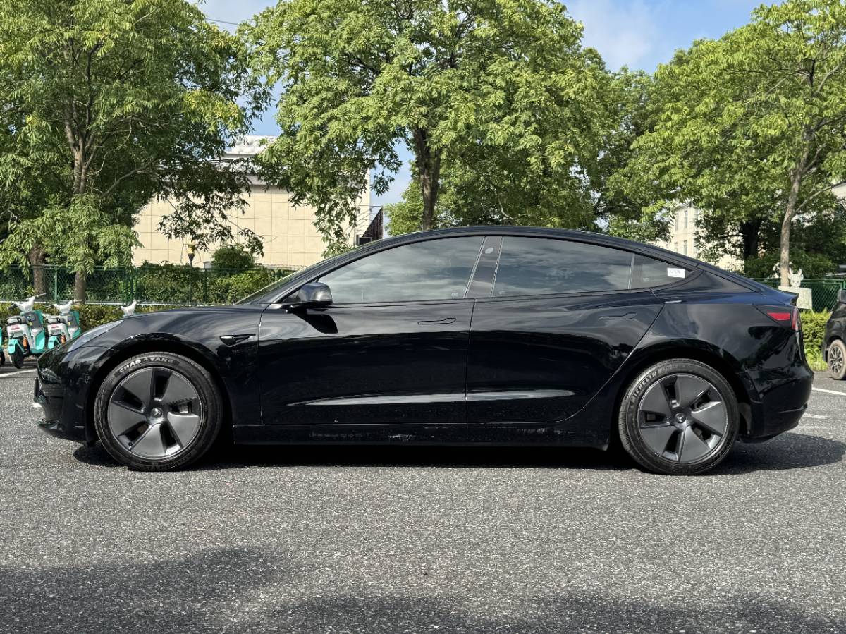 Tesla Model 3 2021 #2 Tesla Model 3 2021 car image #2