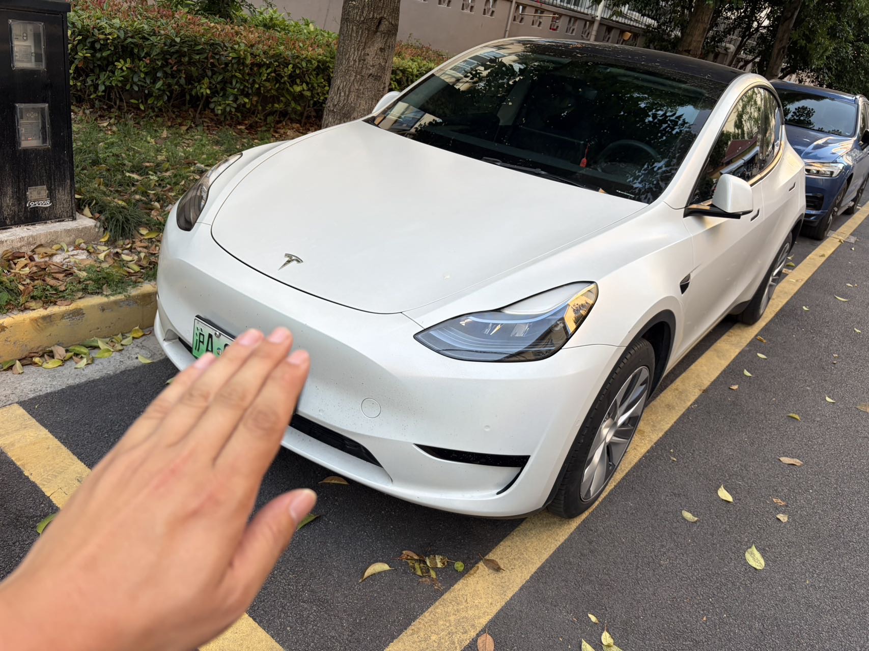 Tesla Model Y 2023 Tesla Model Y 2023 car image