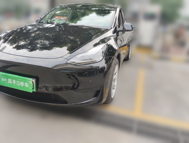 Tesla Model Y 2022 car image 
