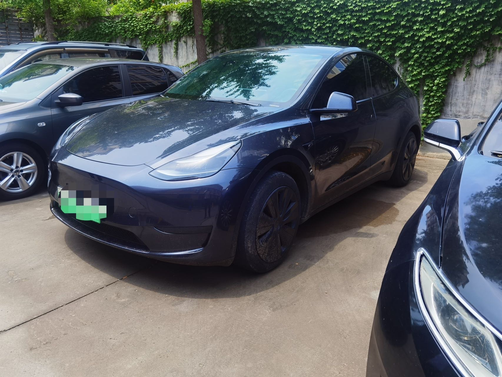 Tesla Model Y 2024 Tesla Model Y 2024 car image
