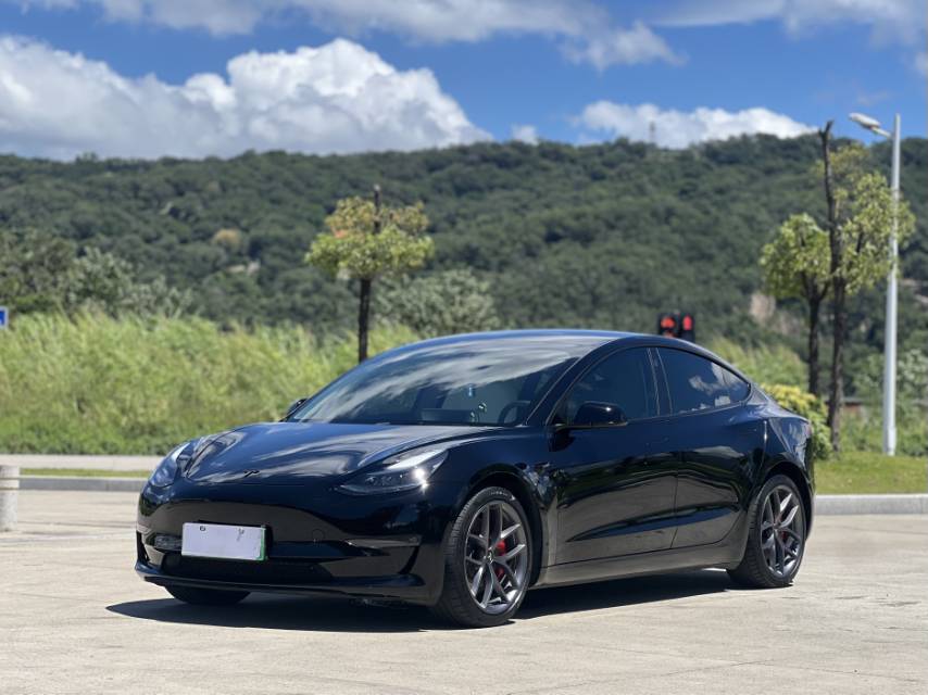 Tesla Model 3 2023 car image 