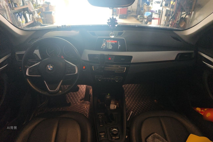 BMW X1 2017 car image #11