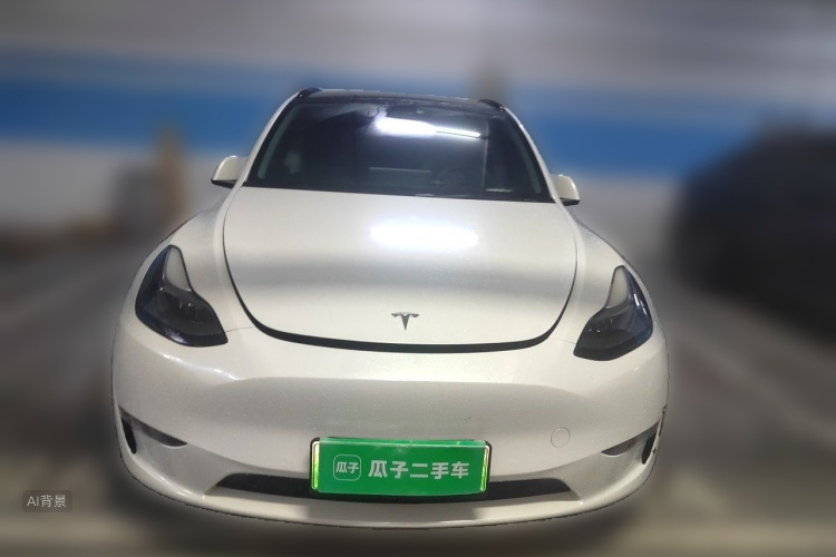 Tesla Model Y 2021 #3 Tesla Model Y 2021 car image #3