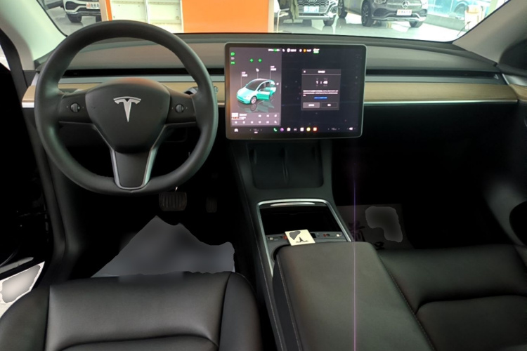 Tesla Model Y 2023 car image #10