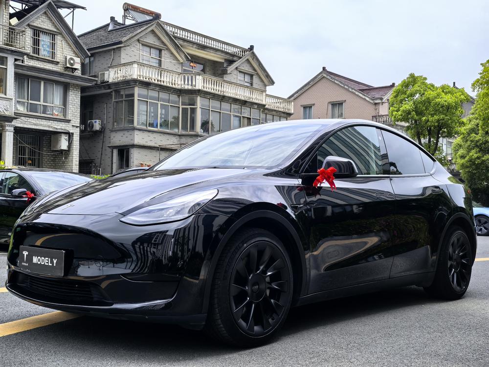 Tesla Model Y 2022 Tesla Model Y 2022 car image