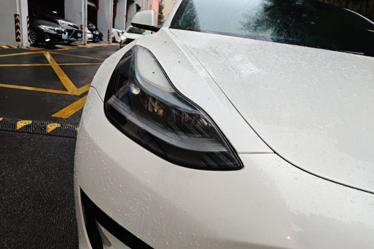 Tesla Model 3 2022 #8 Tesla Model 3 2022 car image #8