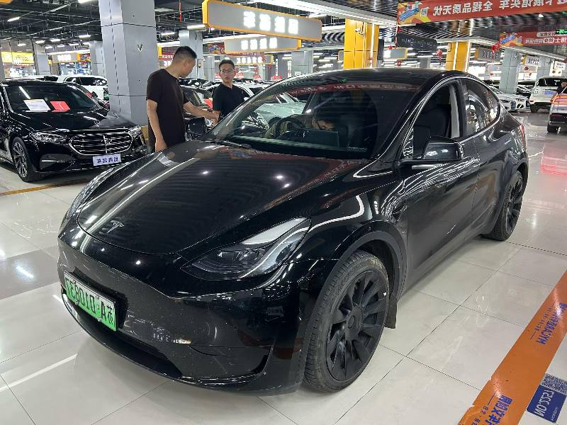 Tesla Model Y 2022 car image 