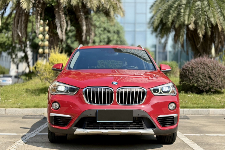 BMW X1 2019 #10 BMW X1 2019 car image #10