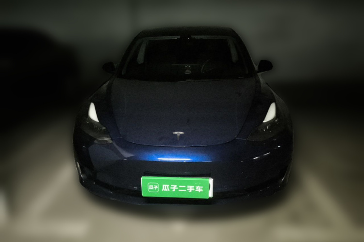 Tesla Model 3 2021 car image #3