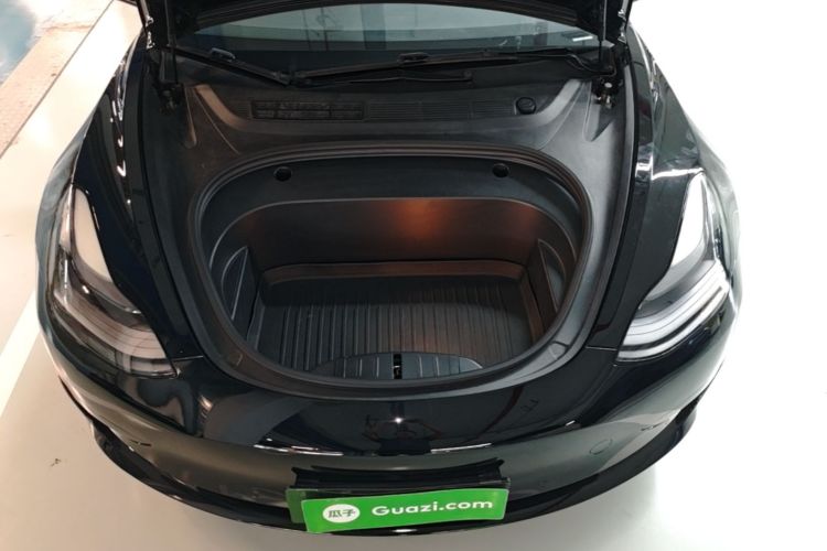 Tesla Model 3 2021 car image #20