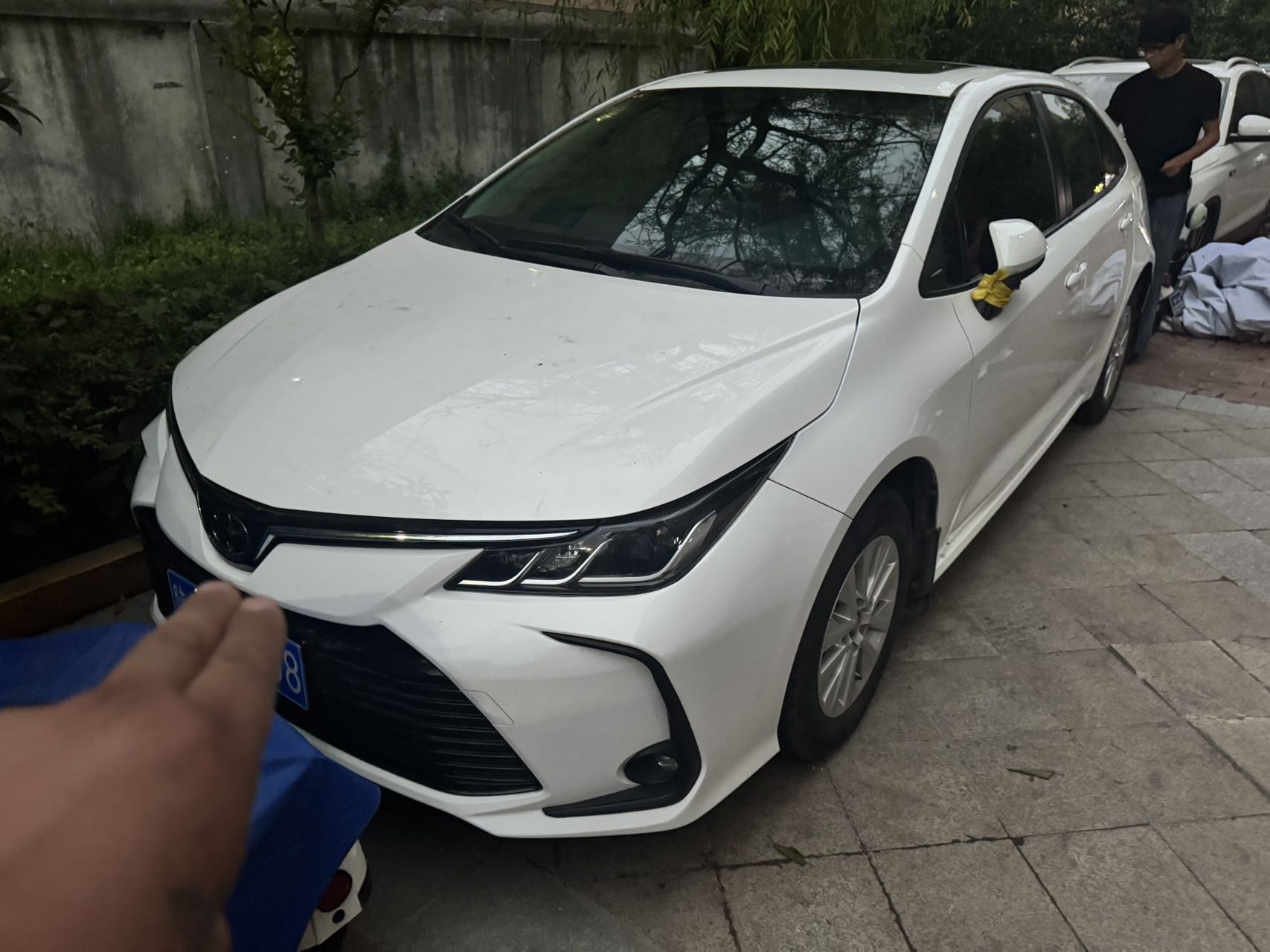 Toyota Corolla 2020 Toyota Corolla 2020 car image
