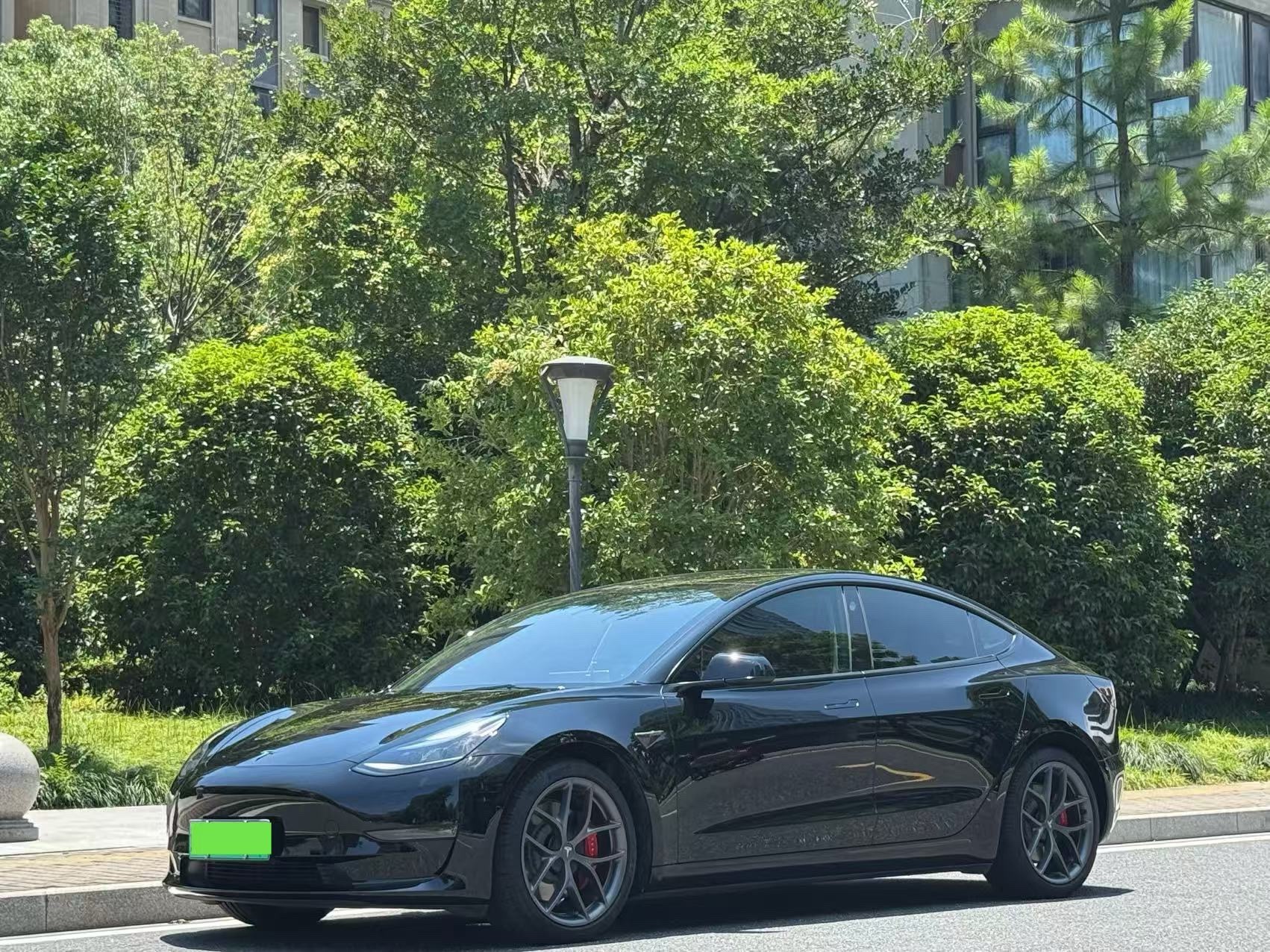 Tesla Model 3 2023 Tesla Model 3 2023 car image