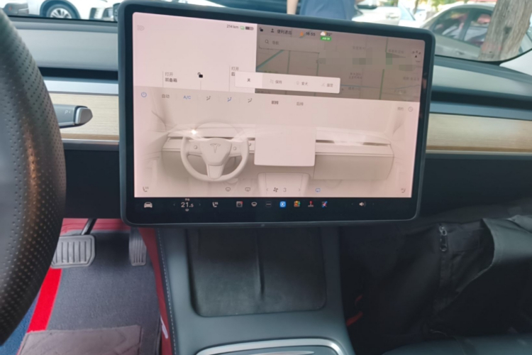 Tesla Model 3 2021 car image #13