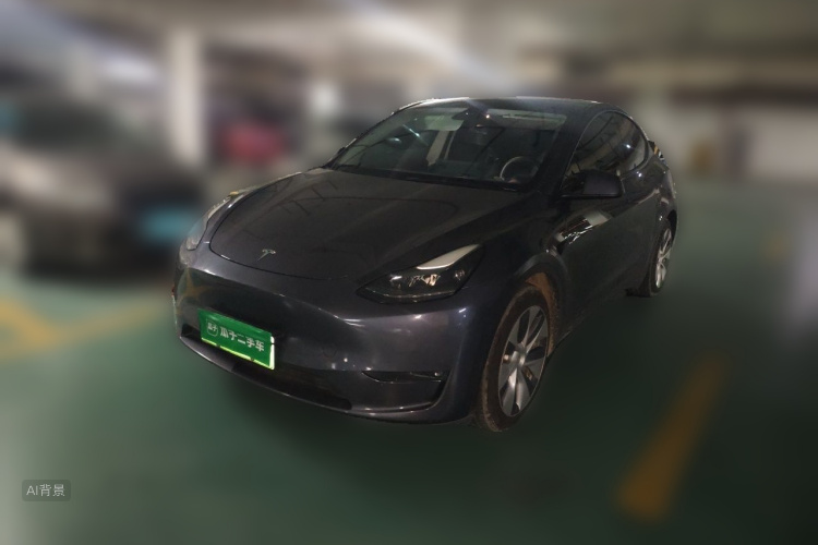 Tesla Model Y 2021 car image #2