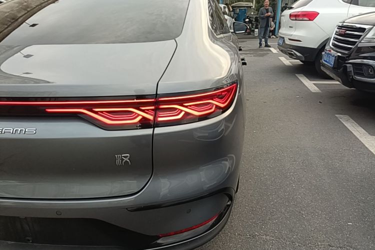 BYD Han 2022 #8 BYD Han 2022 immagine di auto #8