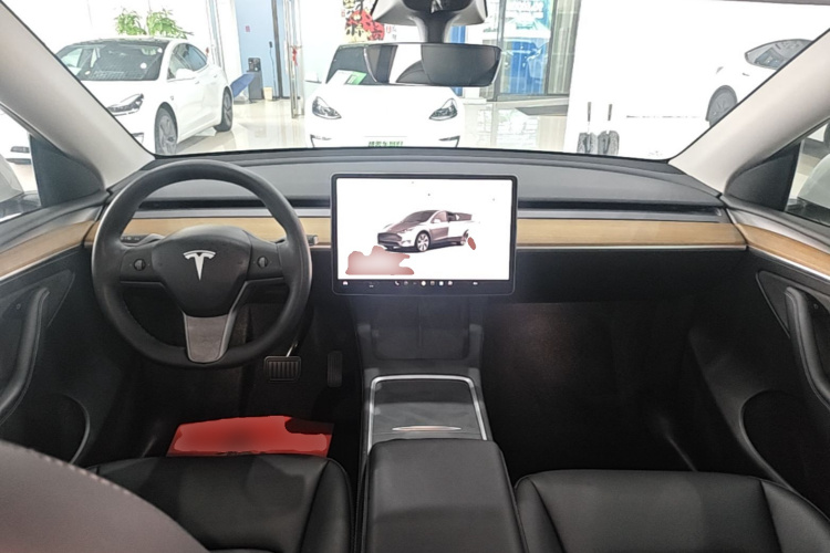Tesla Model Y 2022 car image #10