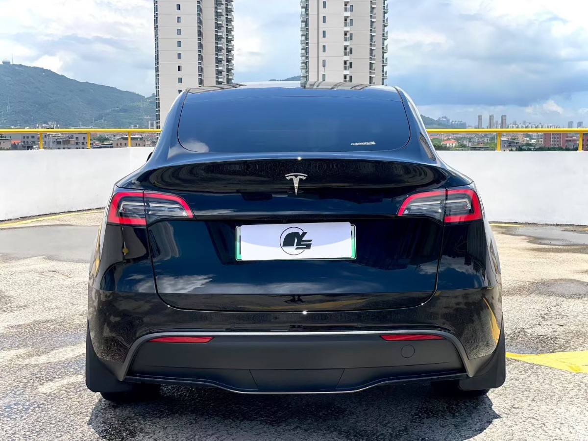 Tesla Model Y 2021 #9 Tesla Model Y 2021 car image #9