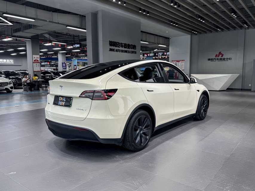 Tesla Model Y 2024 car image #6