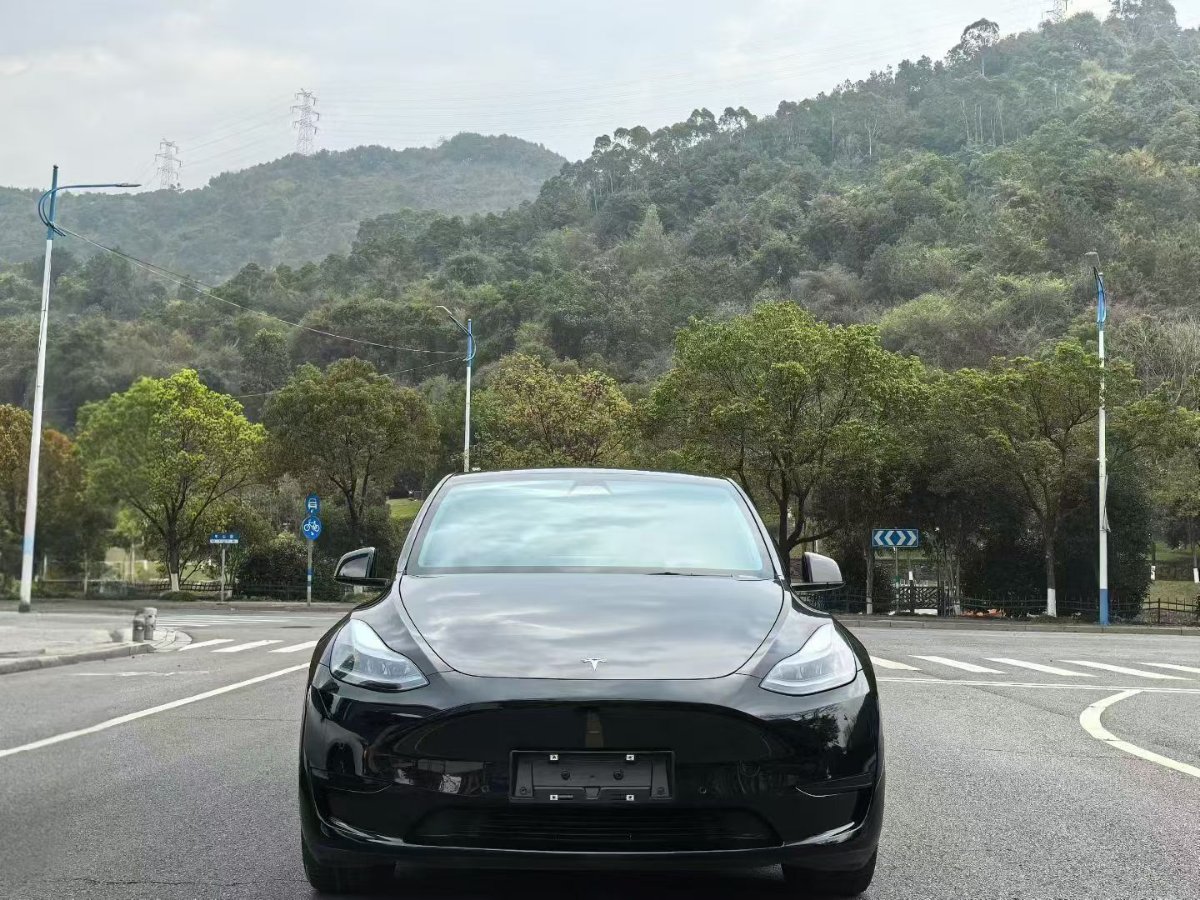 Tesla Model Y 2023 Tesla Model Y 2023 car image