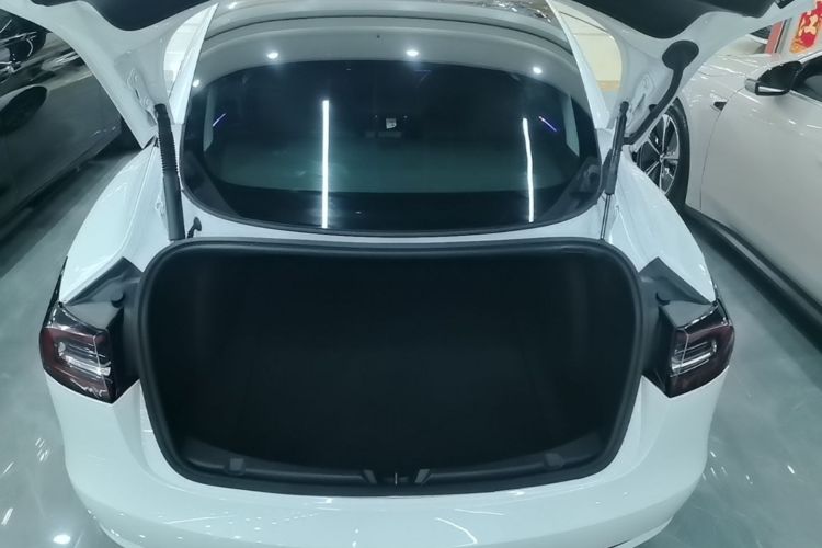 Tesla Model 3 2022 #19 Tesla Model 3 2022 car image #19