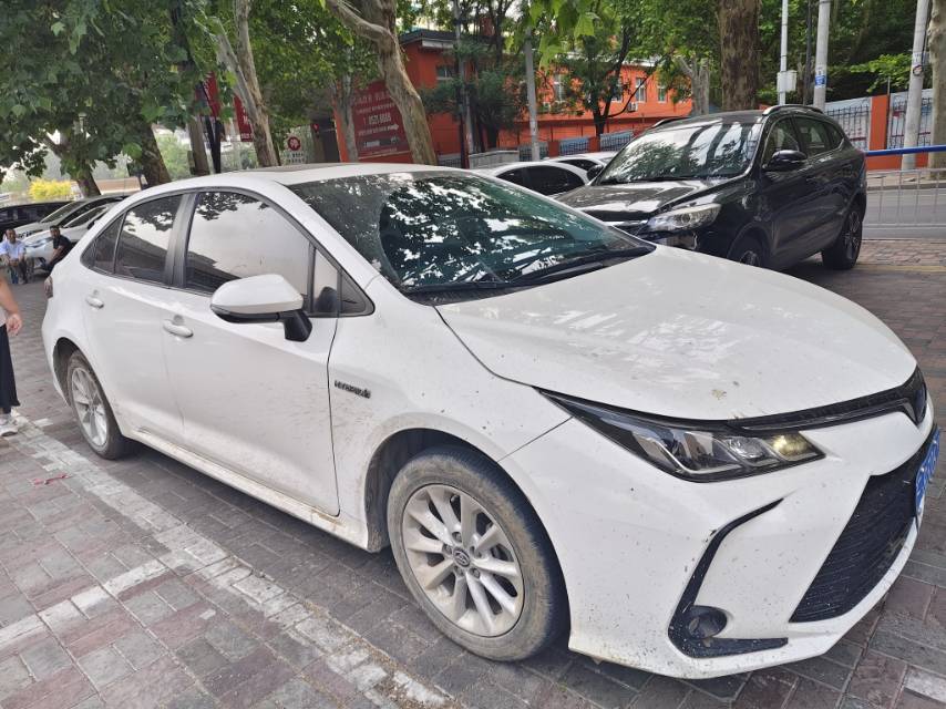 Toyota Corolla 2021 car image #5