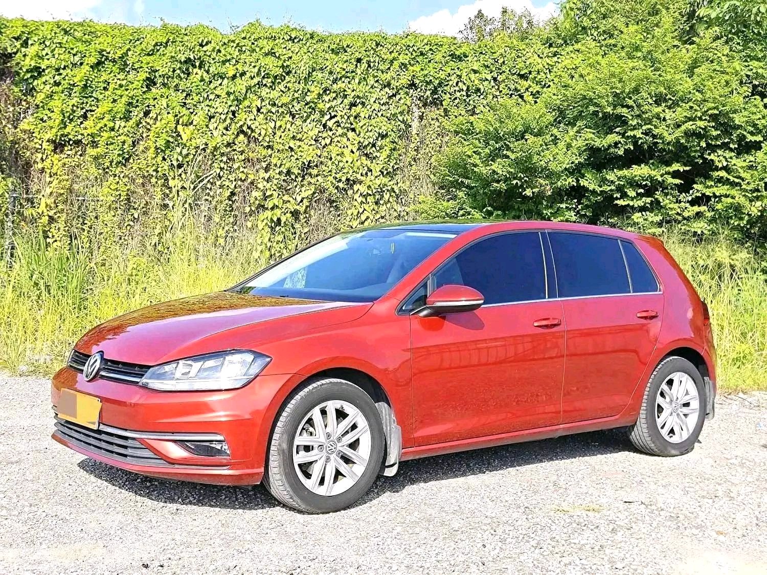Volkswagen Golf 2019 Volkswagen Golf 2019 car image