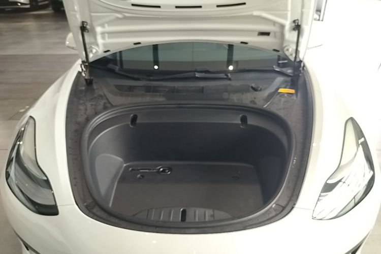 Tesla Model 3 2020 #20 Tesla Model 3 2020 car image #20