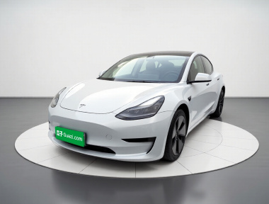 Tesla Model 3 2021 Tesla Model 3 2021 car image