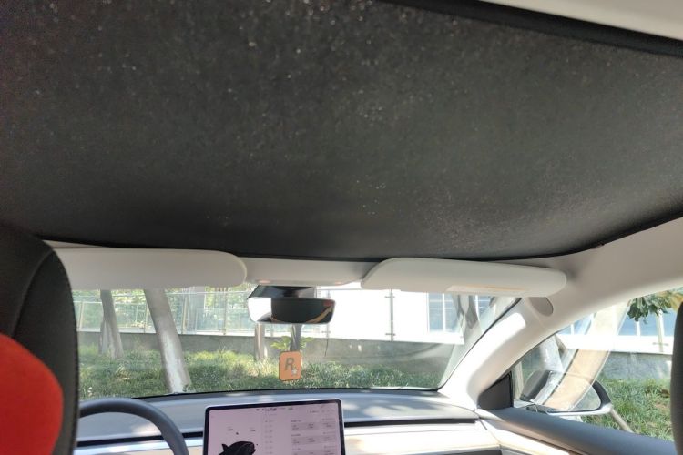 Tesla Model 3 2021 #16 Tesla Model 3 2021 immagine di auto #16