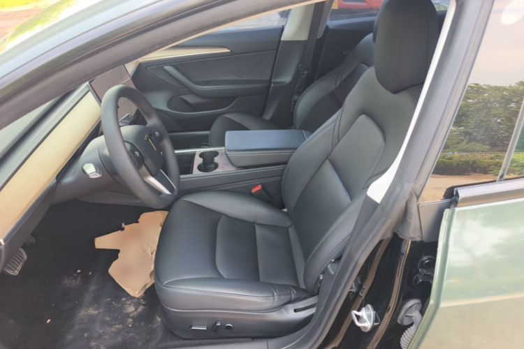 Tesla Model 3 2021 car image #15