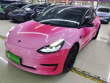 Tesla Model 3 2021 Tesla Model 3 2021 car image