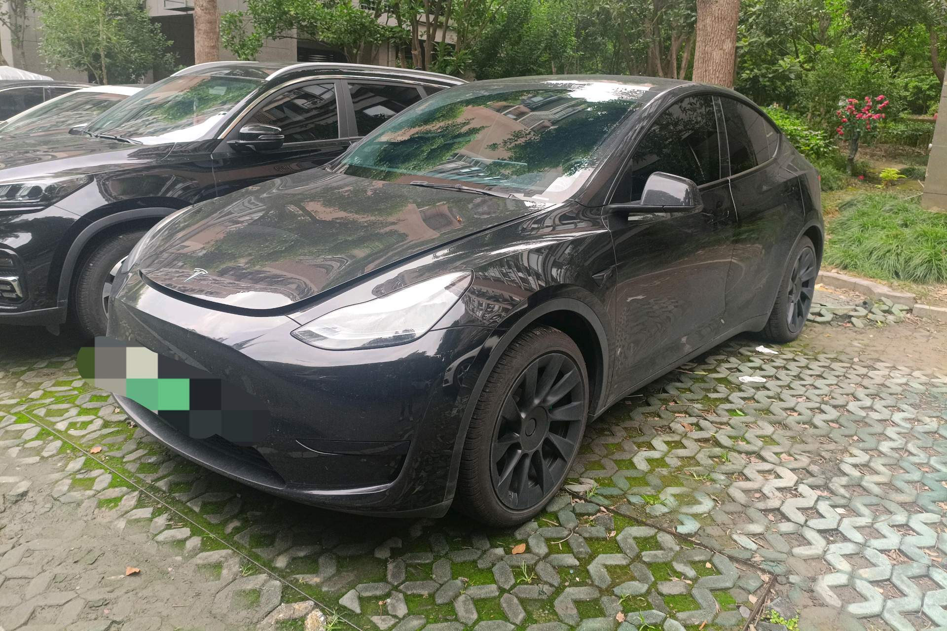 Tesla Model Y 2022 car image 