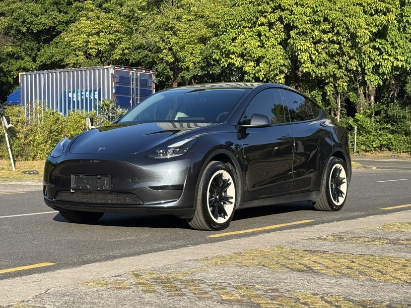 Tesla Model Y 2024 Tesla Model Y 2024 изображение автомобиля