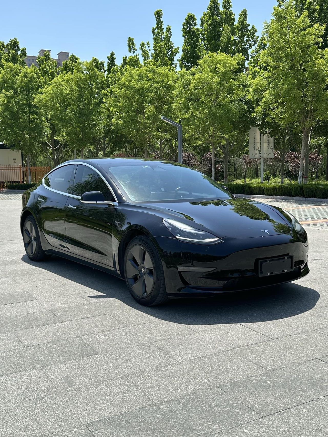 Tesla Model 3 2020 #3 Tesla Model 3 2020 car image #3