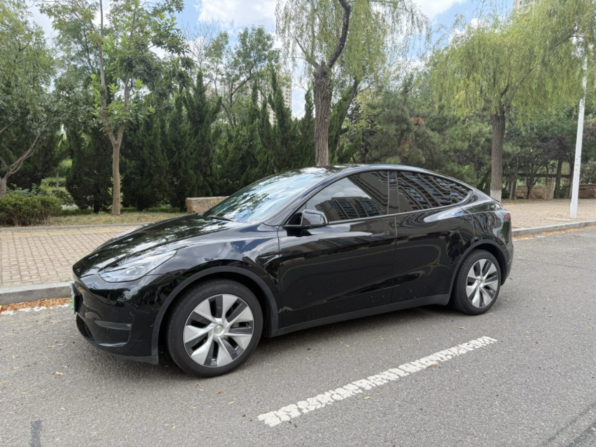 Tesla Model Y 2023 car image #2