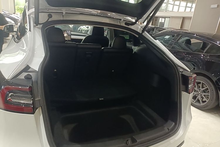 Tesla Model Y 2024 car image #19
