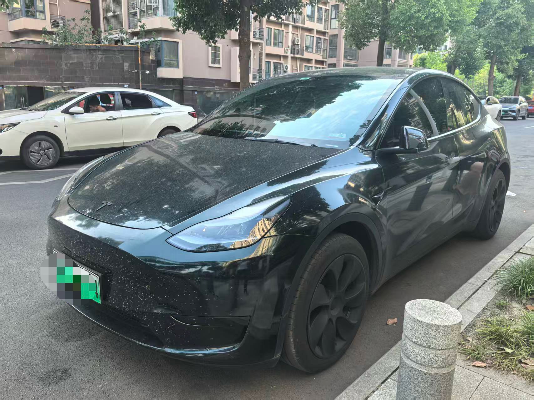 Tesla Model Y 2023 car image 