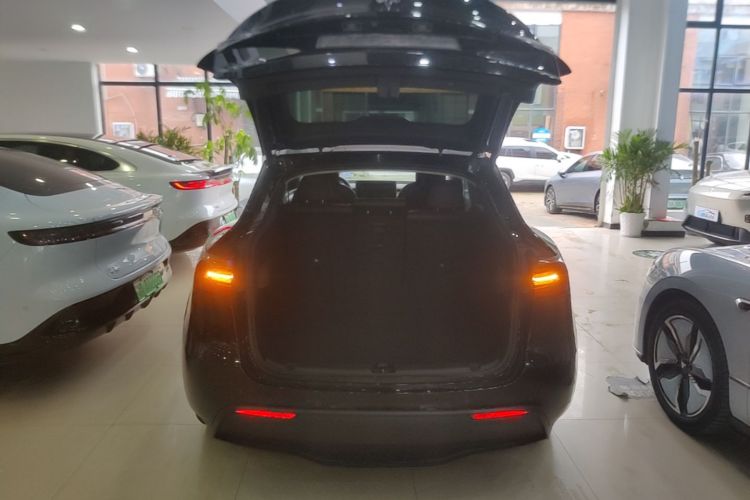 Tesla Model Y 2021 car image #19